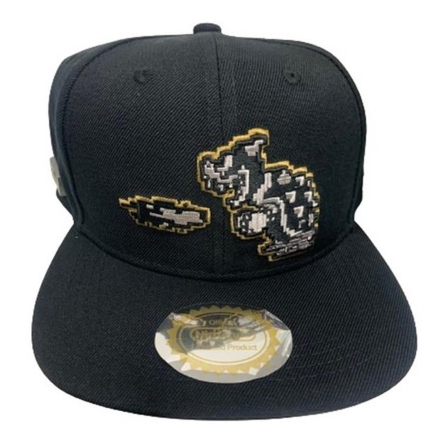 Controller Gear Men's Snap Back Hat