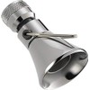 Peerless 2-Setting Shower Head in Chrome