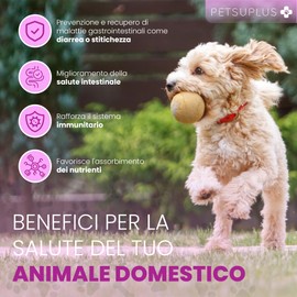 PETSUPLUS Probiotikum für Hunde, 120 Kautabletten, Dogs Hunde-Nahrungsergänzungsmittel, Repariert die Darmflora & schützt das Immunsystem, gegen Durchfall Blähungen Krankheiten und Erbrechen