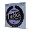 D'Addario EJ44TT ProArte Dynacore Titanium Trebles Extra-Hard Tension Classical Guitar