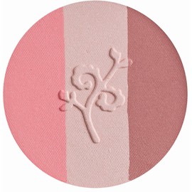 benecos Natural Trio Blush, fall in love