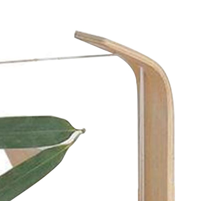 Desktop Plant Specimen Frame Wooden Acrylic Simple Modern Photo Frame