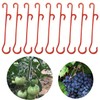 Tomato Support,tomato hook,100Pcs Tomato Support Hooks Tomato Holder Hook Vegetable