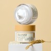 pulley Puli Rice Cera Capsule Cream 90ml Skin Barrier Moisturizing