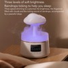 Rain Cloud Essential Oil Diffuser Humidifier Ultrasound Water Drip White