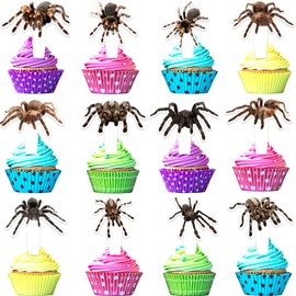 24pcs Spider Cupcake Toppers Insect Happy Birthday Tarantula Spider Decorations, Themed Birthday Party, Bug Party or Baby Shower Party Decorations for Boys and Girls, Birthday Gifts for Kids.