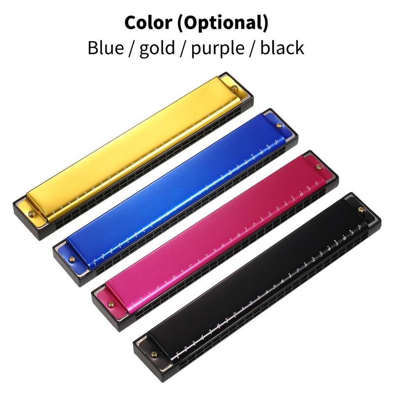 Harmonica Professional Harp Armonica Key of C 24 Hole Polyphony