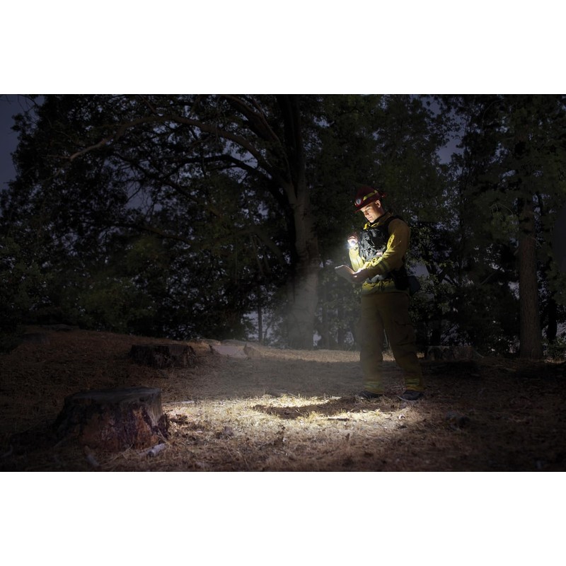 MagLite Mini LED Pro Flashlight - Ultra Bright 332 Lumens,