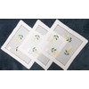 T&K Doilies 30 x 30 cm Handmade Hemstitch with Embroidery,