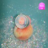 The Face Shop 파스텔 쿠션 블러셔 5g Pastel Cushion Blusher