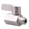 DERNORD 1/4 inch Stainless Mini Ball Valve NPT Female x