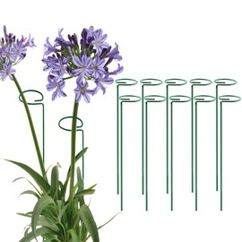 Green 36 inch Single Stem Plant Stakes Flower Support Rings, Pack of 10,Gardening Planter Cages for Single Stem Flowers, Amaryllis,Peony, Lily,Narcissus