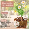 Legigo 8 LB Organic Leca Clay Pebbles for Plants, 4mm-16mm