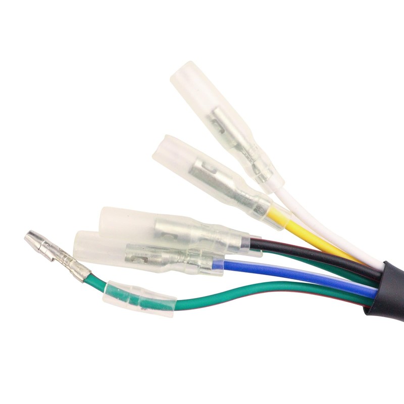 Rmaifc 2 Coil Ignition Magneto Stator For 50cc 70cc 90cc