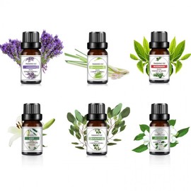 Plant Extract Essential Aromatherapy Oil 10ml M12743 Rosemary 3ea