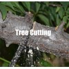 48 Inch High Reach Tree Limb Hand Rope Saw with
