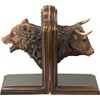 Treasure of Nature Bronze Plated Resin Sculptures Bear & Bull
