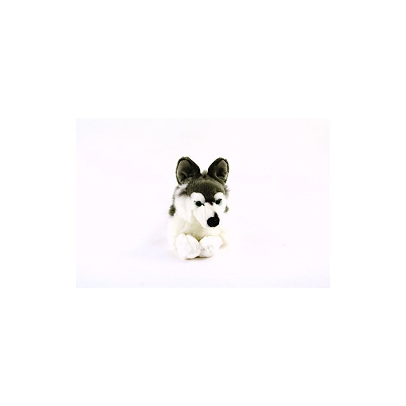 Lying Husky Grey/White 37 cm