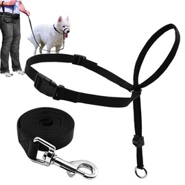 Dog Head Collar, Adjustable and Padded, No-Pull Training Tool for Dogs on Walks, Includes 1 Dog Leash and Free Training Guide, 3