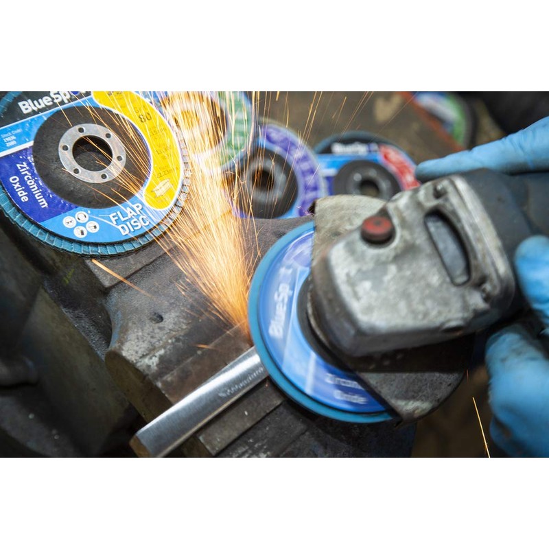Bluespot 19036 11pce Polishing and Flap Disc Set