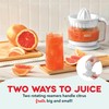 Dash Citrus Juicer Extractor: Compact Juicer for Healthy Juice, Oranges,