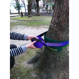 WCP Tree Ware (2 Set of Pieces) Japan Manufacturer Brand