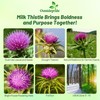 Outsidepride Milk Thistle Seeds - 200 Pcs Biennal, Hardy &