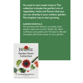 Burpee Garden Sown Flower, Herb & Vegetable 10 Packs of Non-GMO Basil, Lettuce, Cucumber, Radish, Spinach, Kale, Zucchini, Sunflower & Marigold, Seeds for Planting