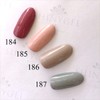 Shiny Gel 4-Colored Gels 184 G watermelon Rose U/LED, JNA Test