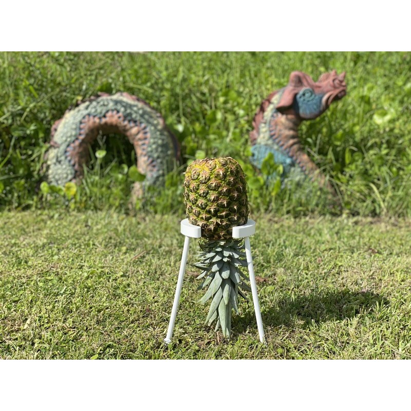 Kitchen Companion Pineapple ripening stand! (Black)