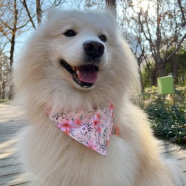 SJANE Dog Bandanas, 4 Pack Adjustable Double Sided Unique Shape Curve Scarf, Premium Durable Fabric, Medium to Large Dog Neck Accessories(Large)