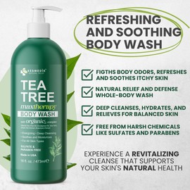 KESMEDIK Tea Tree Body Wash MaxTherapy, Itchy Skin Relief, Tea Tree Oil Soap, Soothes Jock Itch, Athlete's Foot, Ringworm, Eczema, Psoriasis & Sensitive Skin, Men & Women, 16 fl oz, Original Edition