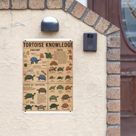 Slow & Steady Tin Sign 8X12IN Rustic Metal Wall Art for Study Nook, Library & Nature Lover Decor with Shell Motif