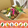 PINVNBY Natural Bird Toys Bird Foraging Box Interactive Parrot Shredding