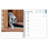 BrownTrout, Cat Lovers 2025 Planner