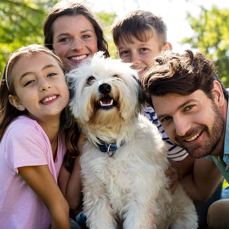 Candure Professional Dental Probes for Cleaning Stainless Steel Teeth Whitening