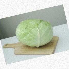 Cabbage for salad, cabbage cone, household gastrointestinal health cabbage food material, 1 piece, 1ml / 샐러드용양배추 양배추 고깔 가정용 위장건강 알배추 식자재, 1개, 1ml