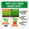 GS Plant Foods Organic Liquid Humic Acid with Fulvic -