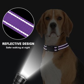 BXPAW Martingale Collar for Dogs,Reflective Martingale Dog Collars with Quick Release Buckle,Adjustable Nylon No Pull Dog Collar for Dogs Walking Training (Purple, Large)