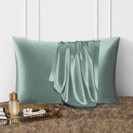 DISANGNI 100% Natural Mulberry Silk Pillowcase for Hair and Skin with Hidden Zipper Reversible 22 Momme Real Silk Pillow Case 2 Pack Standard Size 20x26 Inch Light Green