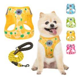 BEAUTYZOO Step in Dog Harness and Leash Set,Reflective Dog Harness No Pull No Choke Puppy Harness for Small Medium Large Dogs Cats,Soft Padded Mesh Vest Harnesses for Girl and Boy Pets, Pineapple XS