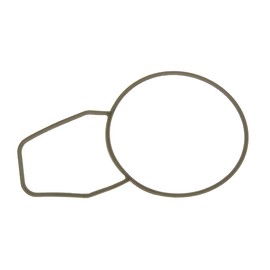 Gasket, thermostat