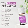 Pranarom - Good Samaritan Essential Oil Blend (5ml) - Cinnamon