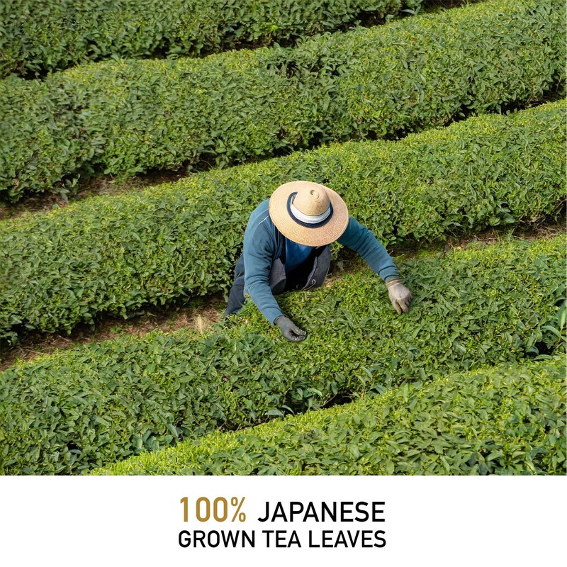 Leafmessage Natural Artisan Tea - Golden Genmaicha 黃金玄米 げんまいちゃ (100g/3.5oz)