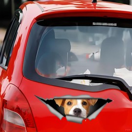 Car Sticker Jack Russell Terrier Sticker 18 cm (7.1 Inch) Jack Russell Terrier Car Sticker 3D Ripped Sticker Funny Jack Russell Terrier Reflective Sticker Bumper Waterproof Decor