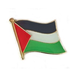 Palestine National Flag International Travel Small Pins Enamel Made Metal Souvenir for Hat Clothes Backpack