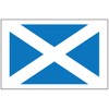 8 Large Scotland Flag Tattoos: Scottish Party Favors