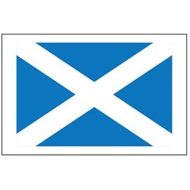 8 Large Scotland Flag Tattoos: Scottish Party Favors