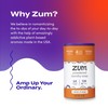 Zum Powdered Laundry Soap by Indigo Wild - Plant-Based Laundry
