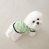 Ittokis 5 Pieces Dog Clothes for Small Dogs Soft Lightweight